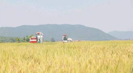 政策東風至，農機企業迎轉機 聚焦農業生產托管服務的六大戰略機遇